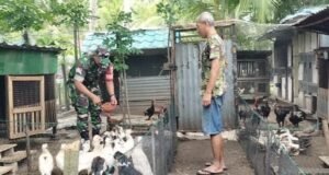 Babinsa 02/Sukakarya Dorong Swasembada Pangan Lewat Peternakan Rakyat
