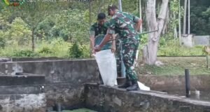 Kodim 0112/Sabang Kembangkan Budidaya Ikan, Fokus pada Pemeliharaan dan Hasil Panen Optimal