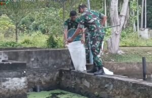 Kodim 0112/Sabang Kembangkan Budidaya Ikan, Fokus pada Pemeliharaan dan Hasil Panen Optimal