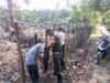 Babinsa Koramil 01/Sukajaya Bantu Warga Gotong Royong Bangun Pagar Kebun