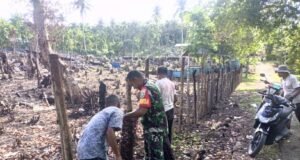 Babinsa Koramil 01/Sukajaya Bantu Warga Gotong Royong Bangun Pagar Kebun