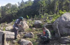 Dukung Ketahanan Pangan, Babinsa Koramil 02/Sukakarya Dampingi Petani Cabai Rawit di Gampong Iboih