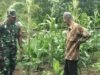 Babinsa Koramil 02/Sukakarya Dorong Kemandirian Pangan Lewat Pendampingan Petani Sayuran