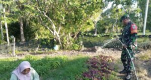 Babinsa Koramil 02/Sukakarya Dorong Petani Tingkatkan Produksi Pangan Lokal di Gampong Batee Shoek