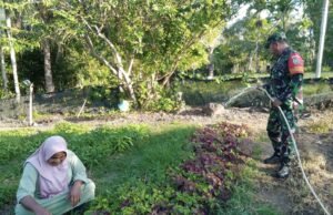 Babinsa Koramil 02/Sukakarya Dorong Petani Tingkatkan Produksi Pangan Lokal di Gampong Batee Shoek
