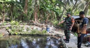 Babinsa Koramil 02/Sukakarya Dukung Ketahanan Pangan Lewat Pendampingan Budidaya Ikan Air Tawar di Kuta Timu