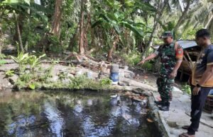 Babinsa Koramil 02/Sukakarya Dukung Ketahanan Pangan Lewat Pendampingan Budidaya Ikan Air Tawar di Kuta Timu