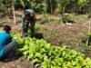 Babinsa Koramil 01/Sukajaya Pantau Ketahanan Pangan di Gampong Beurawang