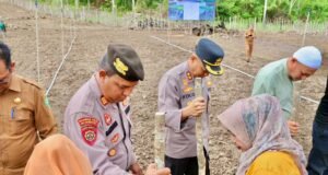 BUMDes Mandiri Gampong Batee Shoek Tanam Padi Gogo dan Jagung Dukung Ketahanan Pangan