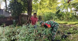 Babinsa Koramil 02/Sukakarya Giatkan Pertanian Rakyat Demi Ketahanan Pangan Lokal
