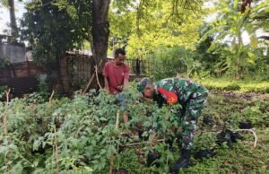 Babinsa Koramil 02/Sukakarya Giatkan Pertanian Rakyat Demi Ketahanan Pangan Lokal
