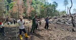 Tingkatkan Ketahanan Pangan, Babinsa Koramil 01/Sukajaya Dampingi Petani Tanam Padi Gogo