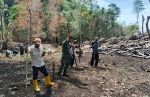 Tingkatkan Ketahanan Pangan, Babinsa Koramil 01/Sukajaya Dampingi Petani Tanam Padi Gogo