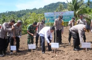 Sabang Dukung Swasembada Pangan Lewat Penanaman Jagung Serentak