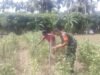 Babinsa Koramil 01/Sukajaya Dukung Ketahanan Pangan Lewat Pendampingan Petani di Gampong Jaboi