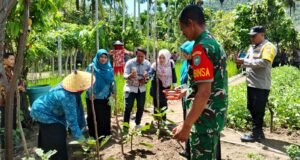 Babinsa Koramil 01/Sukajaya dan Bhabinkamtibmas Dampingi Kelompok PKK Jaboi Wujudkan Ketahanan Pangan Gampong