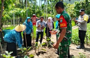 Babinsa Koramil 01/Sukajaya dan Bhabinkamtibmas Dampingi Kelompok PKK Jaboi Wujudkan Ketahanan Pangan Gampong