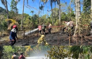Personel Polres Sabang dan BPBD Kota Sabang Bahu Membahu Padamkan Kebakaran Lahan Perkebunan