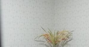 Bank Aceh dan BSI Harus jadi Pondasi dan Pilar Ekonomi Aceh