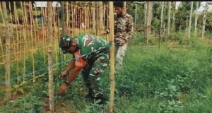 Babinsa Koramil 02/Sukakarya Dampingi Petani Kacang Panjang, Wujudkan Kemandirian Pangan di Wilayah