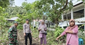 Babinsa Kuta Timu Dampingi Petani Siapkan Lahan Demplot Padi Gogo, Dorong Kemandirian Pangan di Wilayah Binaan