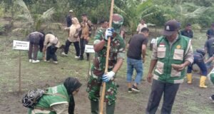 Kodim 0112/Sabang Dukung Program Ketahanan Pangan Melalui Penanaman Padi Gogo Bersama Forkopimda