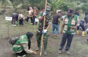 Kodim 0112/Sabang Dukung Program Ketahanan Pangan Melalui Penanaman Padi Gogo Bersama Forkopimda