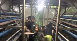 Babinsa Dampingi Pengelola BUMG Kembangkan Usaha Ayam Petelur Wujudkan Ketahanan Pangan di Gampong Paya
