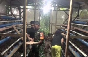 Babinsa Dampingi Pengelola BUMG Kembangkan Usaha Ayam Petelur Wujudkan Ketahanan Pangan di Gampong Paya