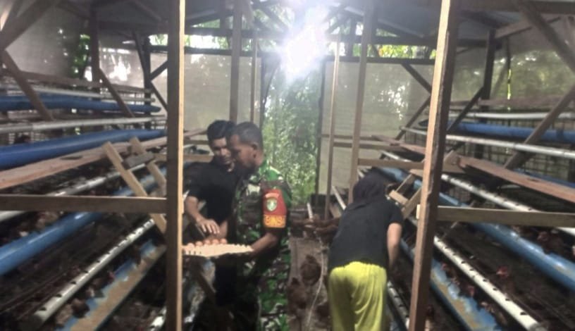 WhatsApp Image 2025-10-23 at 13.22.33