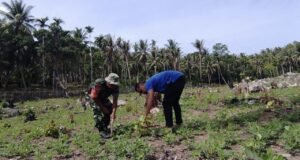 Babinsa Koramil 01/Sukajaya Dorong Warga Olah Lahan Kosong Jadi Sumber Ketahanan Pangan