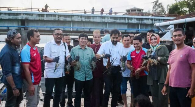 Mualem lakukan Panen perdana Lobster Di Ule Lheue