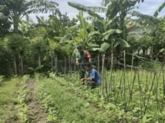 Babinsa Kuta Ateuh Pantau Ketahanan Pangan Warga, Bentuk Dukungan TNI terhadap Kemandirian Petani