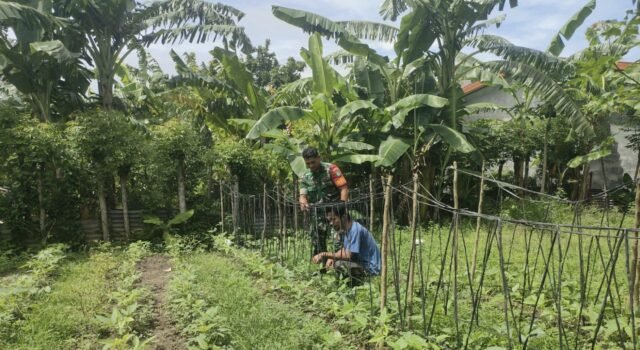 Babinsa Kuta Ateuh Pantau Ketahanan Pangan Warga, Bentuk Dukungan TNI terhadap Kemandirian Petani