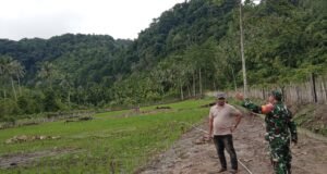 Babinsa Batee Shoek Kawal Program Padi Gogo, Targetkan Produksi Pangan Meningkat