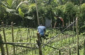 Pendampingan Babinsa Koramil 02/Sukakarya Perkuat Program Ketahanan Pangan di Gampong Kuta Ateuh