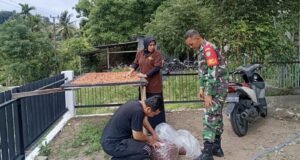 Babinsa Koramil 02/Sukakarya Ajak Petani Kakao di Aneuk Laot Tingkatkan Kualitas Hasil Panen
