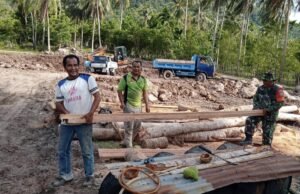 Wujud Kepedulian TNI: Babinsa Batee Shoek Turun Tangan Bantu Ringankan Pekerjaan Warganya