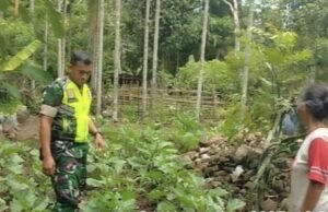 Babinsa 02/Sukakarya Dampingi Petani Sayuran untuk Dukung Ketahanan Pangan Desa