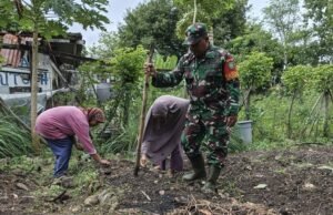 Babinsa Kuta Timu Dampingi Kelompok Tani Rajawali Tanam Jagung Manis
