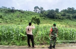 Babinsa Koramil 02/Sukakarya Dampingi Petani Pantau Perkembangan Padi Gogo dan Jagung di Gampong Batee Shoek