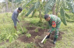 Optimalkan Lahan Sempit, Babinsa Koramil 01/Sukajaya Ajak Warga Kembangkan Palawija