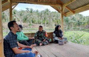 Babinsa Keuneukai Tinjau Perkebunan Jagung Warga, Perkuat Silaturahmi dan Pemantauan Wilayah