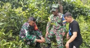 Kodim 0112/Sabang Dorong Ketahanan Pangan Lewat Gerakan Penghijauan di Gampong Krueng Raya