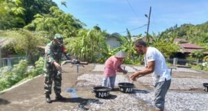 Pemanfaatan Potensi Perikanan, Babinsa Kuta Timu Dampingi Warga Jemur Ikan Asin
