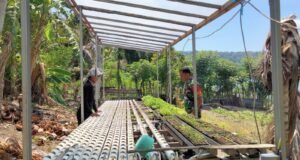 Babinsa Koramil 02/Sukakarya Dampingi Petani Muda Kembangkan Budidaya Selada Hidroponik di Aneuk Laot
