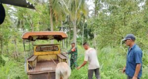 Babinsa Gampong Batee Shoek Bantu Warga, Perkuat Kemanunggalan TNI dengan Rakyat