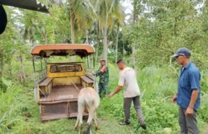 Babinsa Gampong Batee Shoek Bantu Warga, Perkuat Kemanunggalan TNI dengan Rakyat
