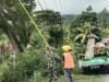 Antisipasi Cuaca Ekstrem, Babinsa Koramil 01/Sukajaya Bantu PLN Pangkas Pepohonan