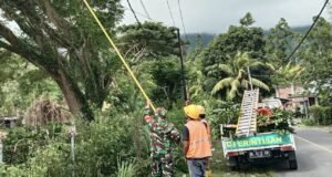 Antisipasi Cuaca Ekstrem, Babinsa Koramil 01/Sukajaya Bantu PLN Pangkas Pepohonan